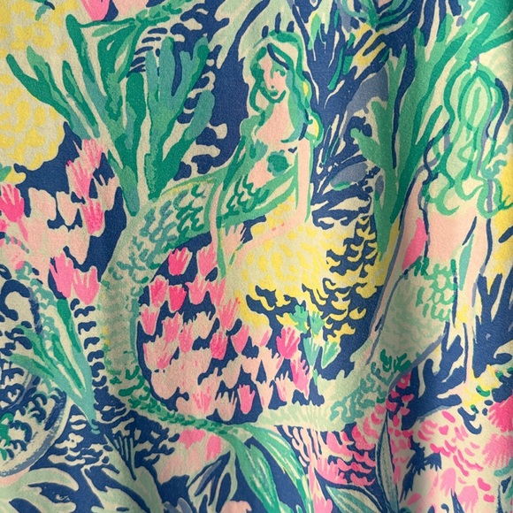 Lilly Pulitzer three-quarter sleeve Sophie dress size XL. - Picture 2 of 7